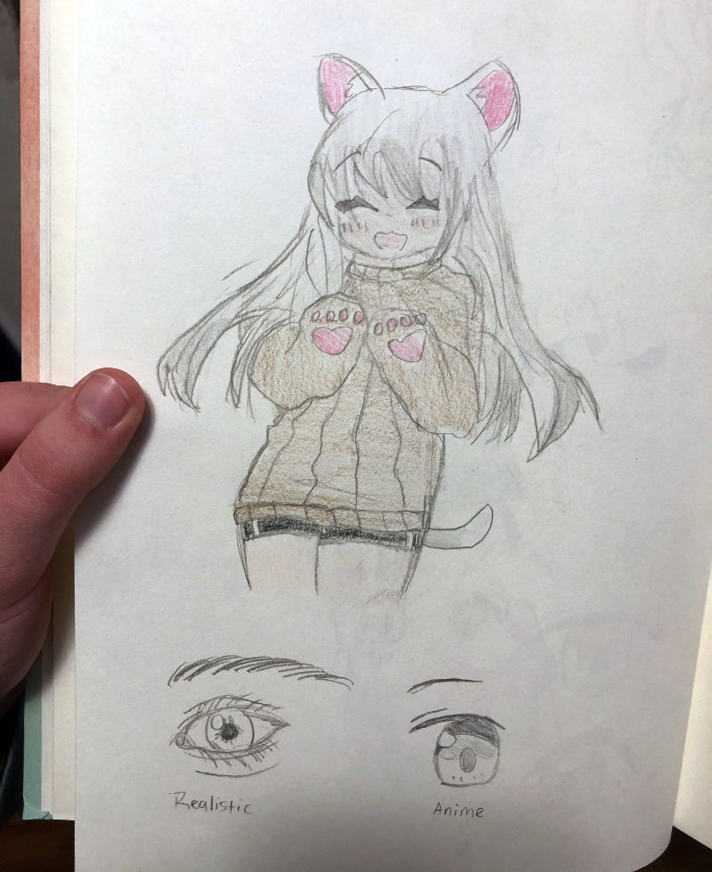 ava drawing02x800
